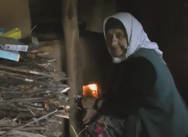 13_Лес_этот_я_садила