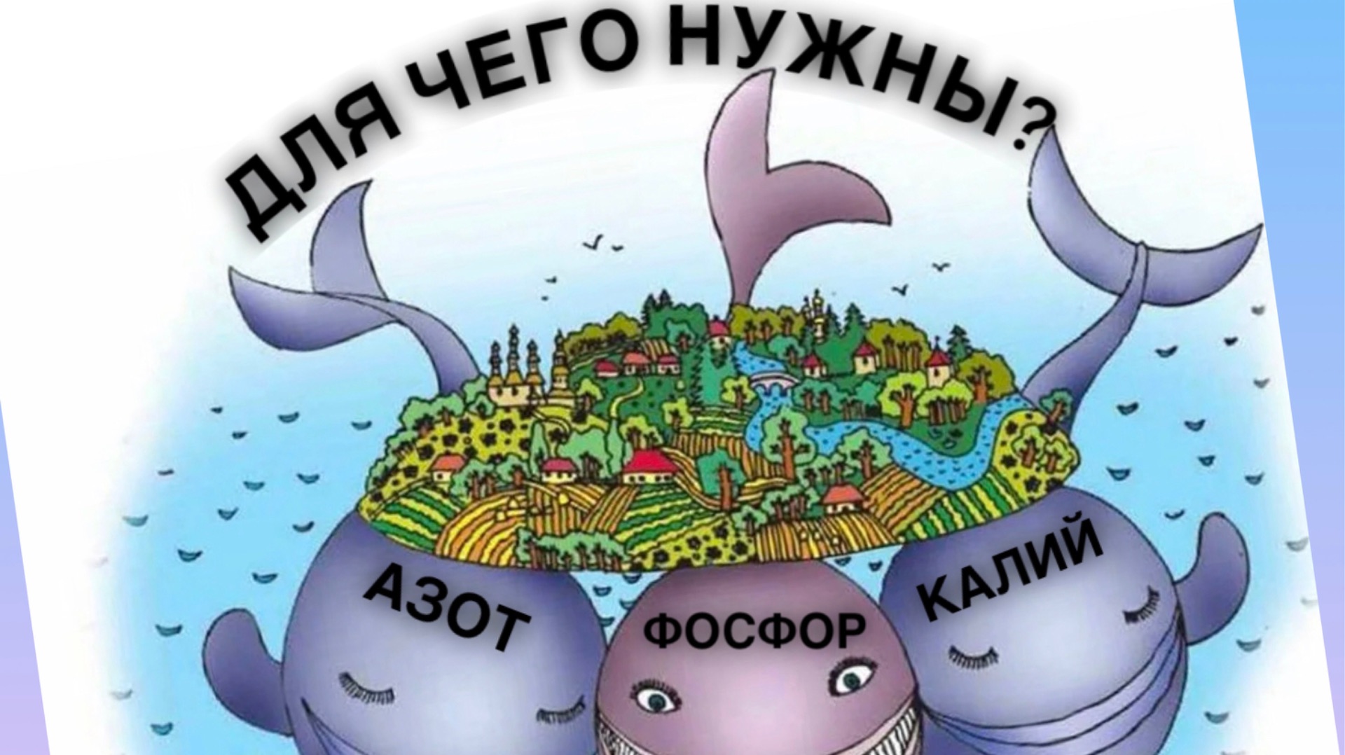 Азот фосфор калий удобрения для чего