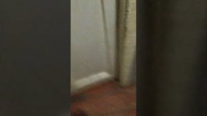 танцы с бубном 11