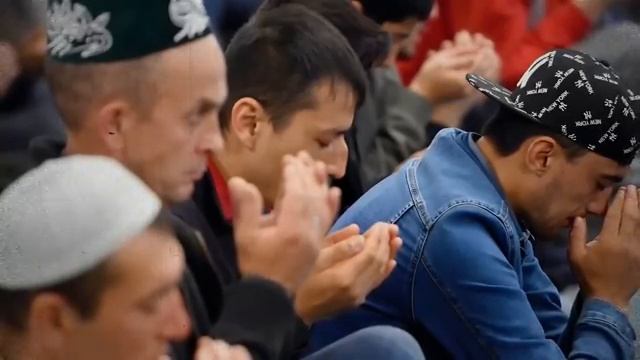 &quot;-ЭТО НЕ ХРИСТИАНСКОЕ ГОСУДАРСТВО&quot;. Как один диалог в никабе, подтвердил тайную докторину