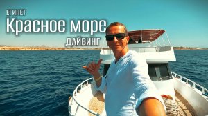 Египет_Шарм-эль-Шейх. Подводный мир.