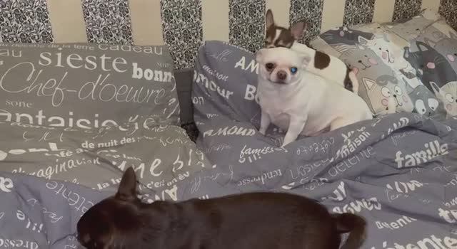 Всем наидобрейшего, субботнего утречка.