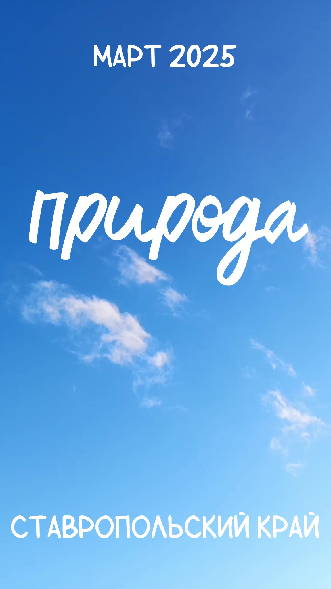 Природа. Март 2025 года. Ставропольский край.