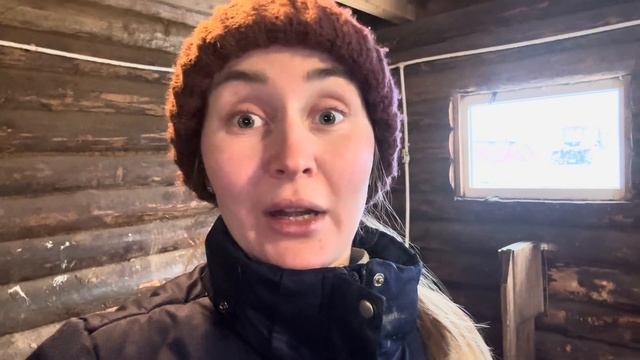 К нам приехали племенные овцы из СХП Катумы! Скоро будут первые ягнята! Фермерские будни! смотреть онлайн