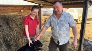 Жизнь в деревне! Разговоры по душам. Обезрожили всех бычков!