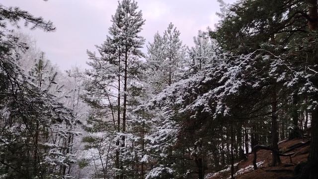 Общение с коллегами по работе