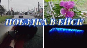 ПОЕЗДКА В ЕЙСК, СВОЗИЛИ БАРСИКА, ЗАКУПИЛИ СОЛОМЫ, УКРАШАЕМ ДОМ ГИРЛЯНДОЙ