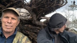 Бам-баки 2025