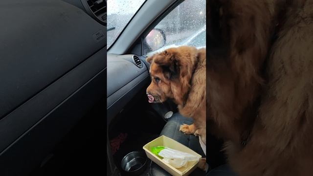 завтрак королевишны Риты