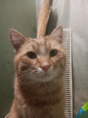 подписываюсь