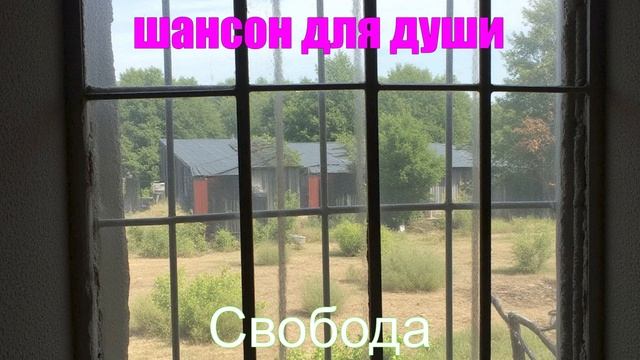 ПЕСНИ ДЛЯ ДУШИ┃ШАНСОН┃Свобода