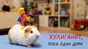 МУЛЬТИК ПРО ЛЕГО | ЛЕГО | ВИДЕО ПРО ЛЕГО | ЛЕГО ЧЕЛОВЕЧЕК ХУЛИГАНИТ