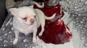 Всем наидобрейшего утречка и легкого понедельника.