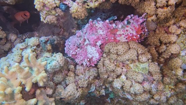 Тот самый Красноморск