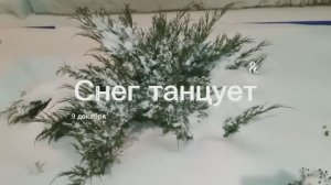 Клодт Дебюсси - "Снег танцует", Вот, и зима пришла!