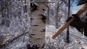 Medieval Dynasty #41