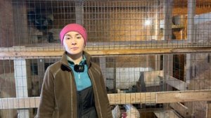 Планы на Курятник! Что мы Изменим? | Молодая Ферма