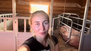 Помогаю фермеру! Копаем картошку! Принимаем опорос!