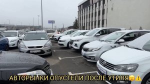 ЗАРОСЛА НАРОДНАЯ ТРОПА НА АВТОРЫНКИ ПОСЛЕ УТИЛЯ ❗️❗️❗️