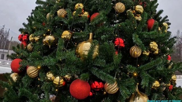 Каток на Царской набережной в музее-заповеднике"Коломенское"!❄️❄️❄️