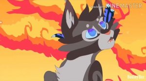 Меня что то на клипы похители :~| (КОТЫ ВОИТЕЛИ l/ Клип Weok kiţəн🌿 \\\\ ВЕОК КОТЁНОК !! будь добр❤