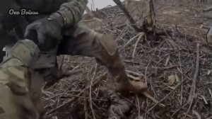 СВО, засада на ВСУшников