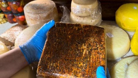 По 150 рулонов сена в день! Каждый день прибавление у герефордов!Какие сыры мы делаем на нашей ферме