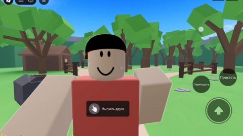 играю в спрятать тело)