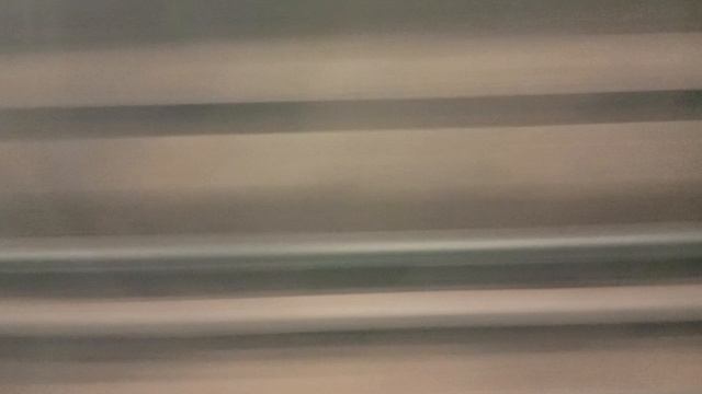 Поездка на поезде «Русич» 81-740 от станции Щёлковская до станции Первомайская