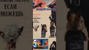 Скажите номер паспорта