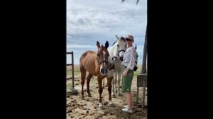 Я увлекаюся спортивною рыбалкой (Вилли Токарев) Cover version клип