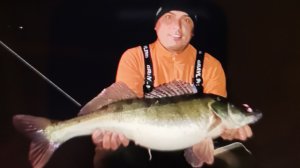 Судака кум до кумы тащит (Вдоль по Питерской)