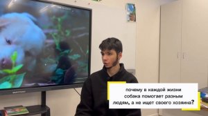 Смысл жизни через глаза собаки: «Собачья Жизнь»