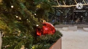 Апатиты/ Центральная Ёлка 🌲