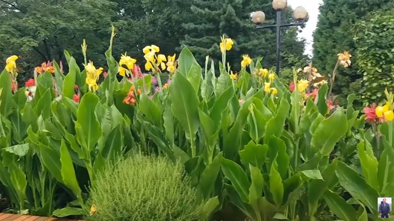 Владивосток В Ботанический сад через Нагорный парк Аллея цветов