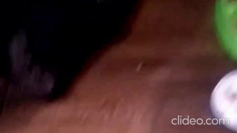 Хитрый котенок скомсомолил рыбу