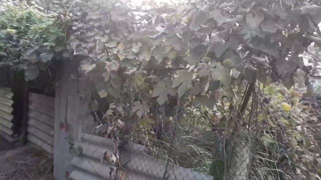 Устраняем проблемы в системе отопления! Эту работу делай Сам- вовремя!