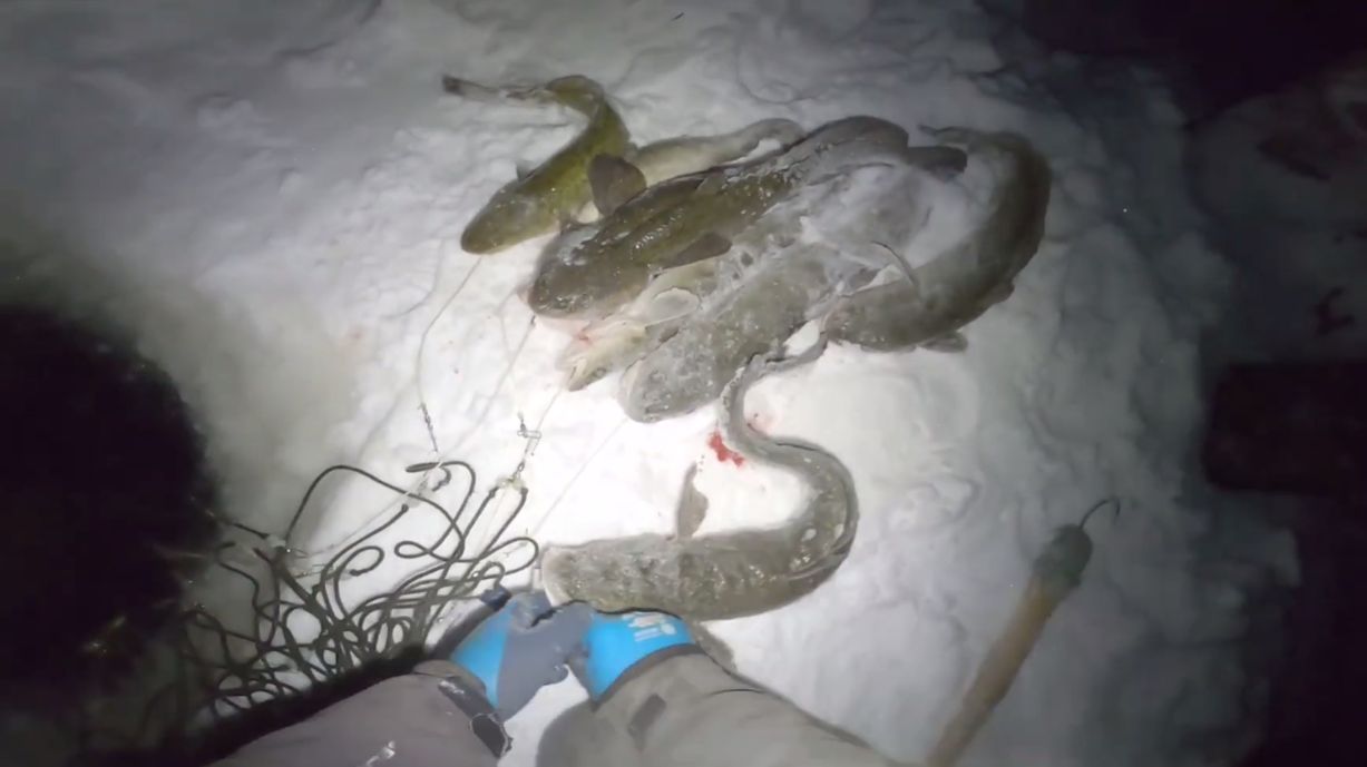 Рыбалка у чёрной дыры. Ловля налима. Двадцать вторая серия.