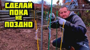 Сделай это пока не поздно со всеми деревьями в огороде