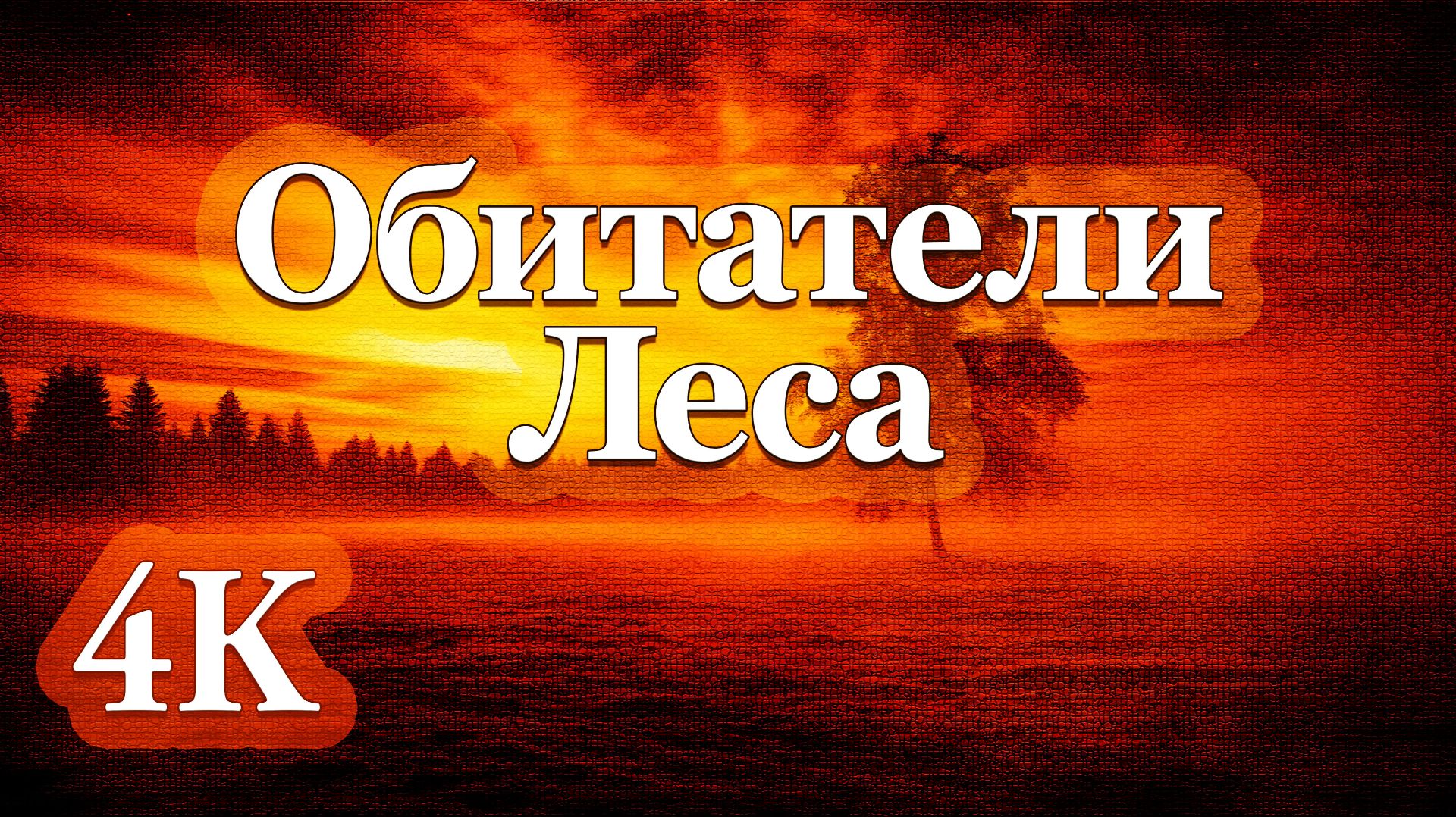 4K Обитатели леса | Эмбиент-Музыка для Глубокого Сна и Расслабления 🍃🎶🍃