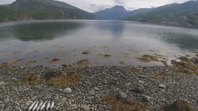 Отпуск в Норвегии на автодоме. Часть 1