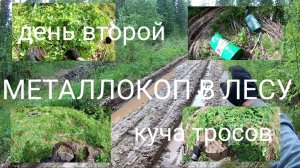 Металлокоп!!! Забил Машину по Полной,но Забрал не всё