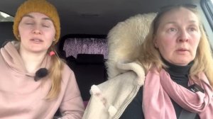 Оставили хозяйство и отправились за новыми коровами! Племенные Айрширские нетели!