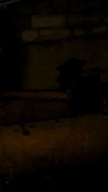 КОТ_  #oiia #oiiaoiiacat #oiiaoiia смотреть онлайн