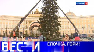 Вести Санкт-Петербург. Выпуск 20.50 от 13.12.2025