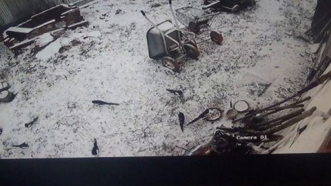 Ожидайте птички кашу, ПОДПИШИСЬ