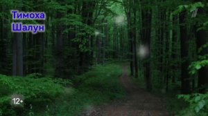 Новости с Геннадием Барбоскиным, сериал «Тимоха шалун»