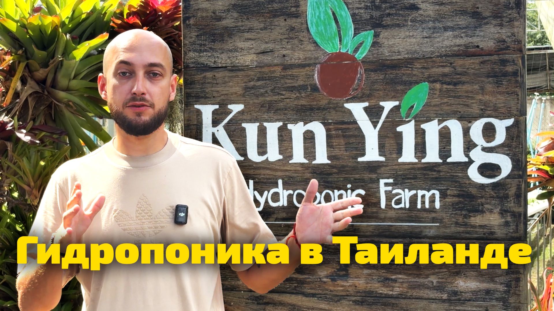 Как устроена проточная гидропоника: бак, помпы, циркуляция — на примере фермы