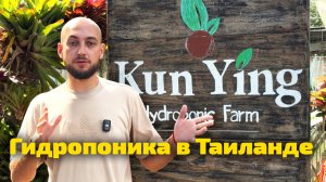 Как устроена проточная гидропоника: бак, помпы, циркуляция — на примере фермы