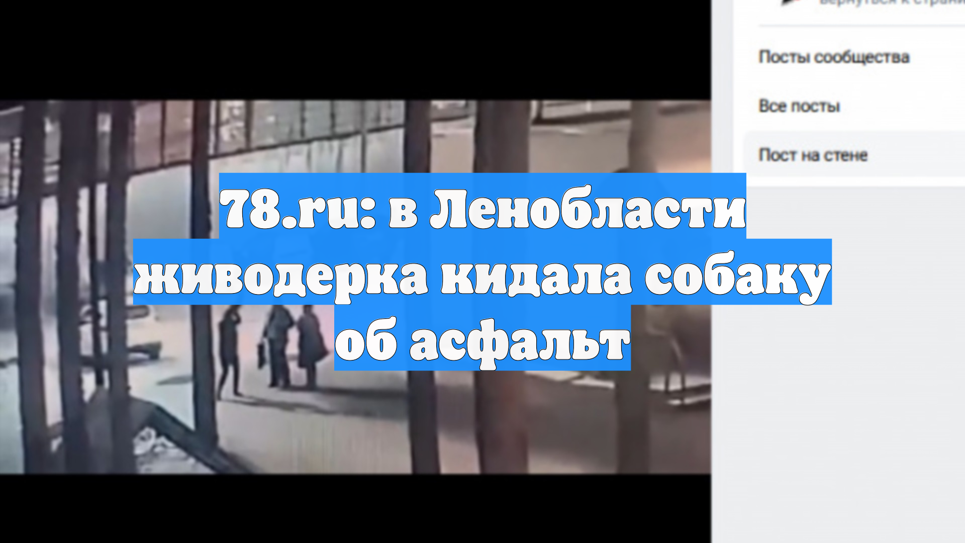 78.ru: в Ленобласти живодерка кидала собаку об асфальт